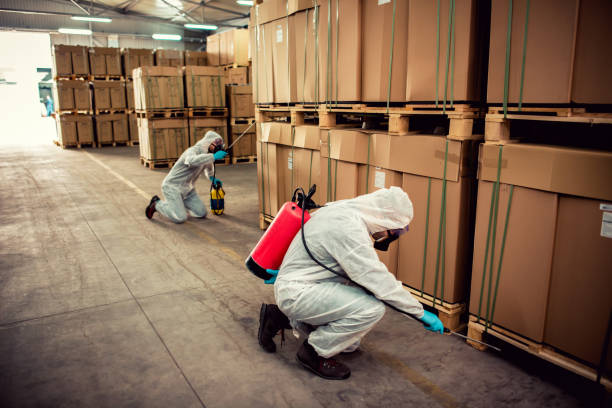 Wildlife Control Services in Radisson, NY