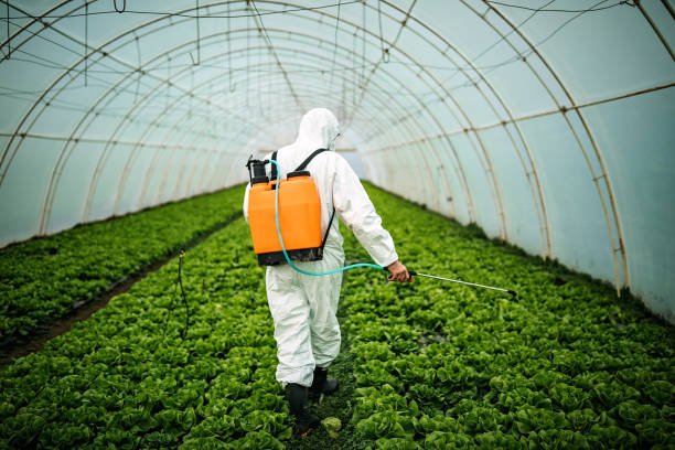 Professional Pest Control in Radisson, NY