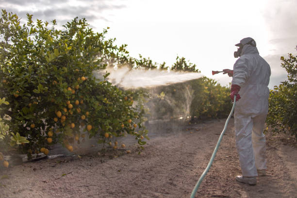 Pest Control for Restaurants in Radisson, NY