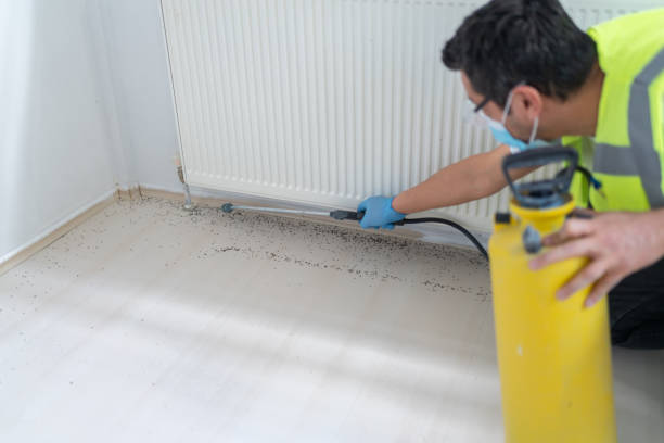 Best Pest Control for Restaurants  in Radisson, NY